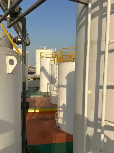 WhatsApp Image 2025-07-31 at 3.00.54 PM (1)_result